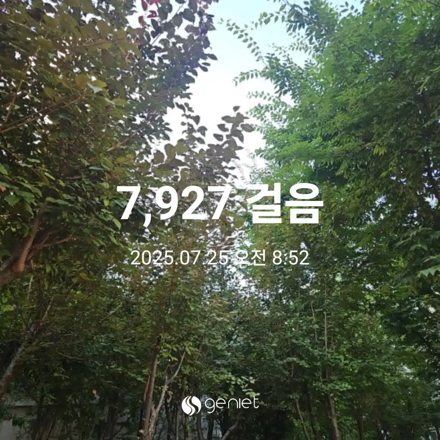 아침 산책으로 🏃 