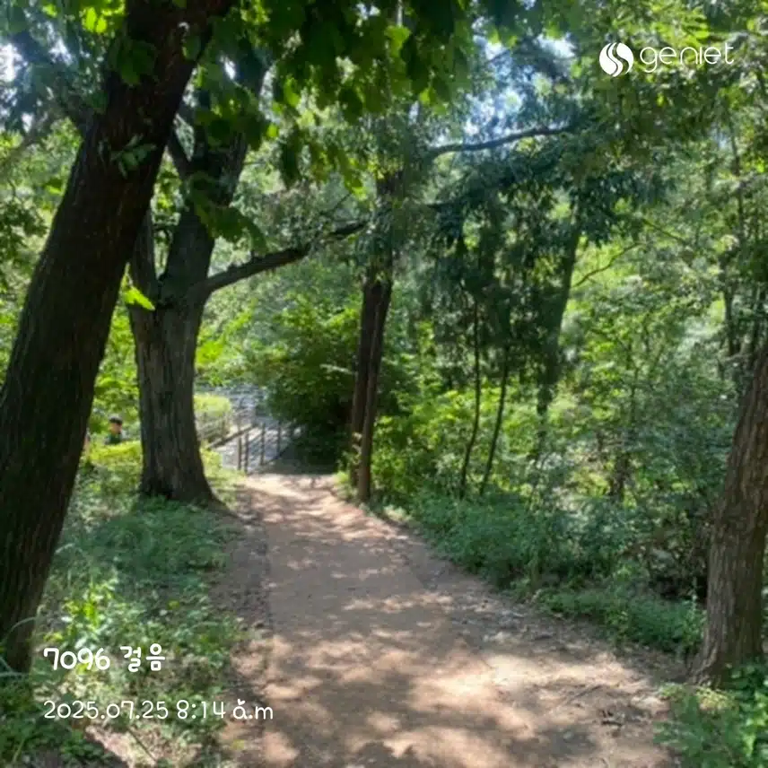 아침 산책으로 🏃‍♀️