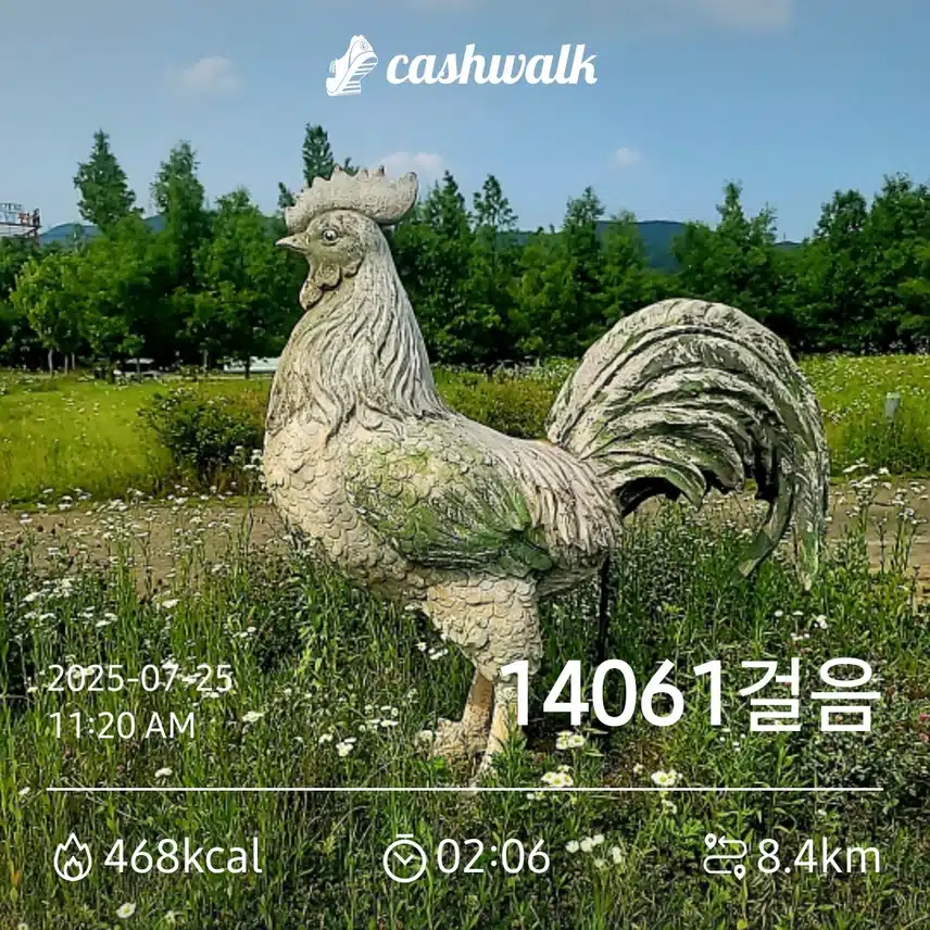 만보걷기 1.93일차 인증