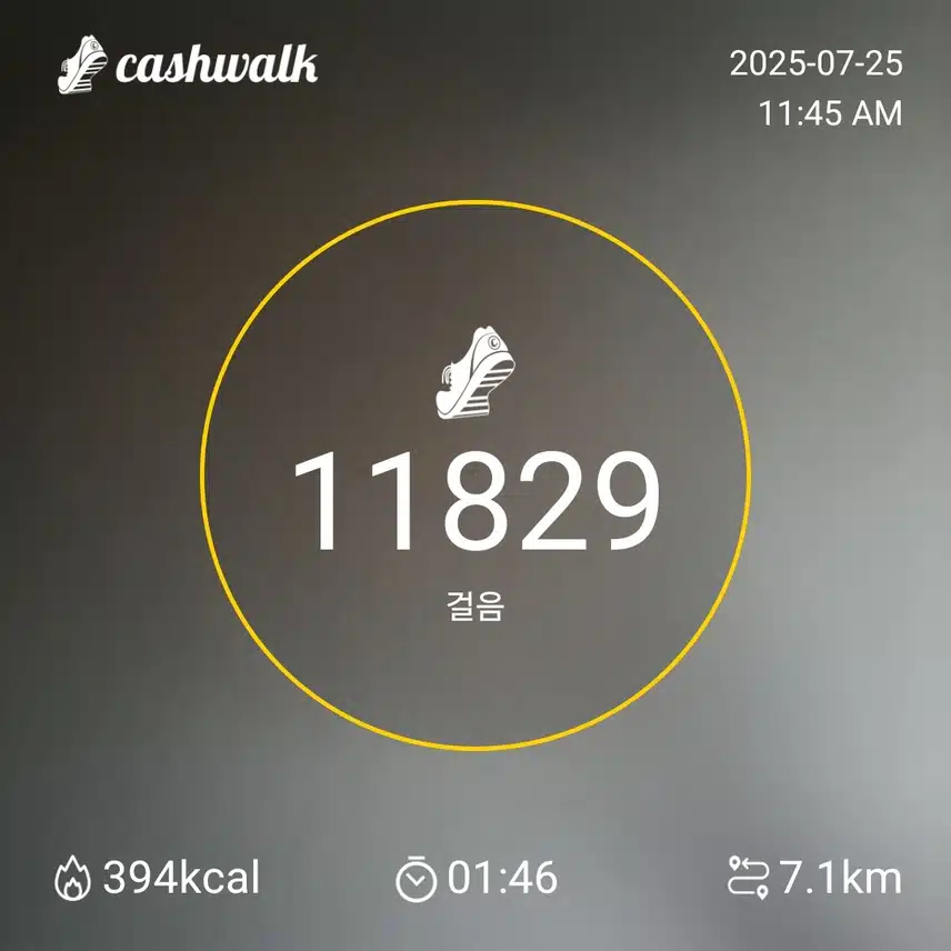 인증 