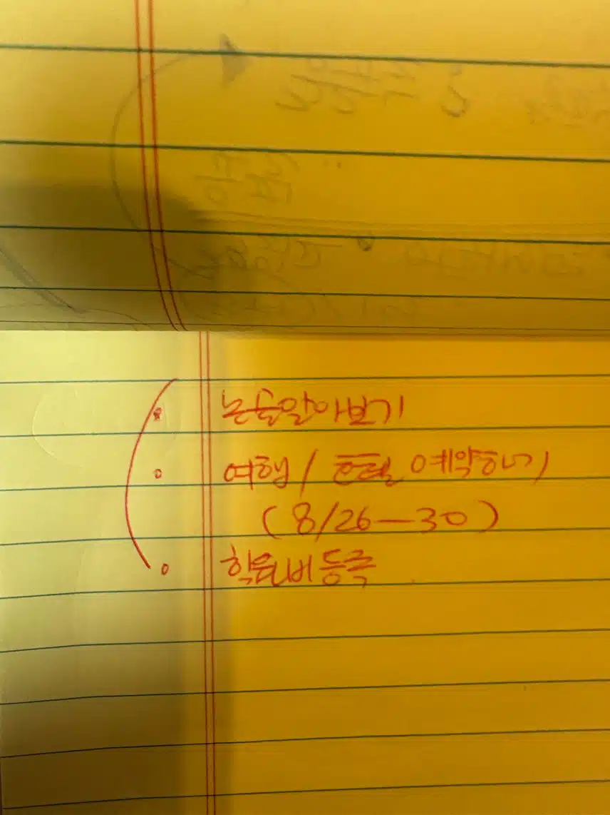 오눌의 할일