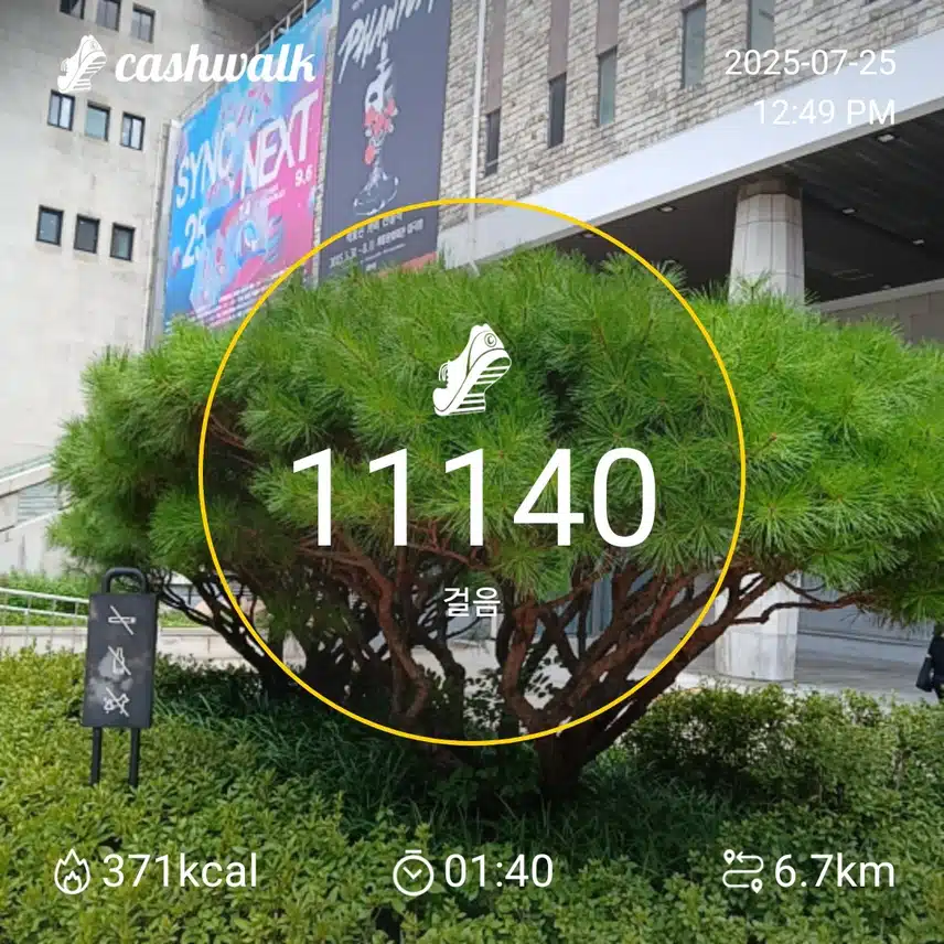 걸음수