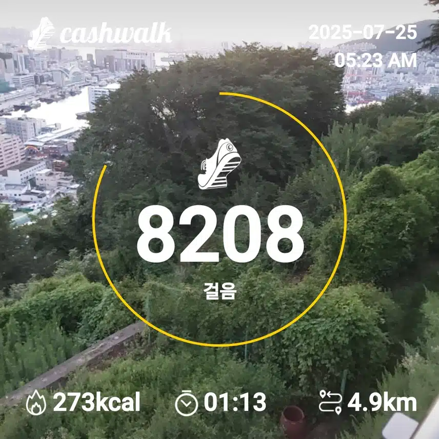 캐시딜 