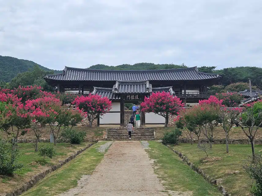 안동 병산서원 복례문과 배롱나무꽃 