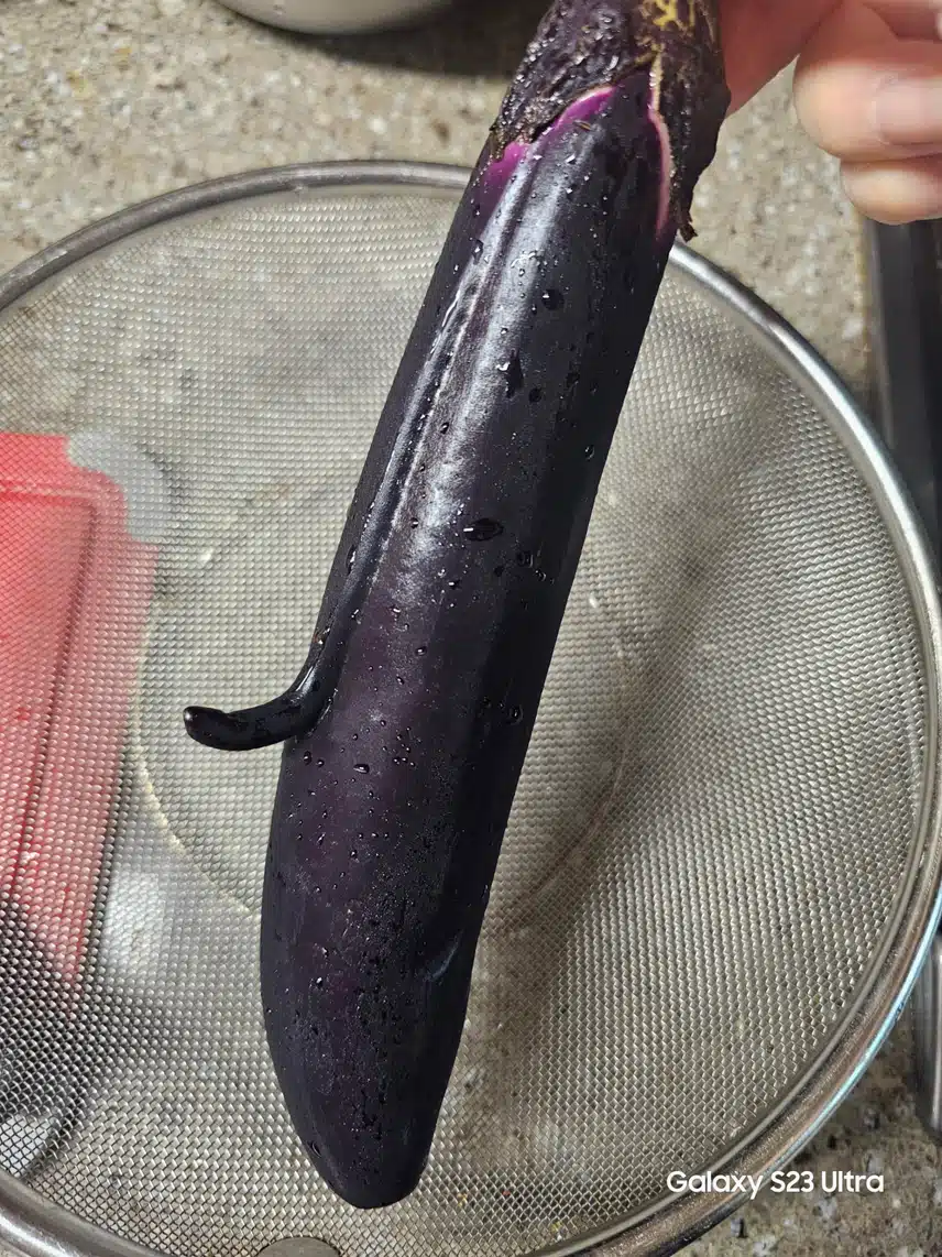 넌 뭐냐~