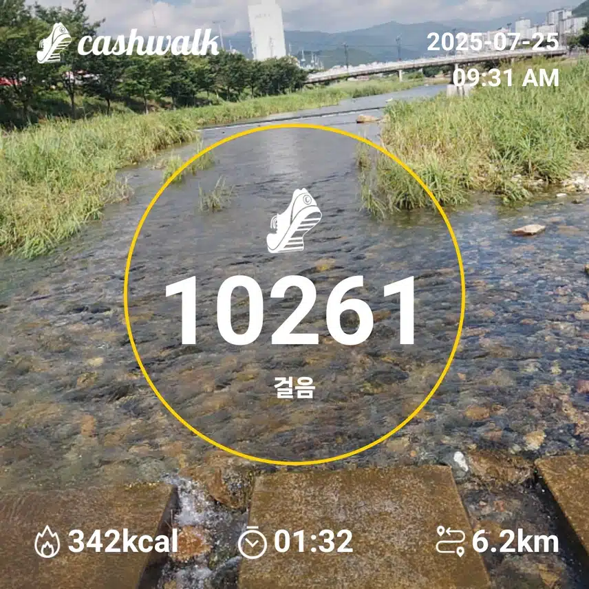 인증