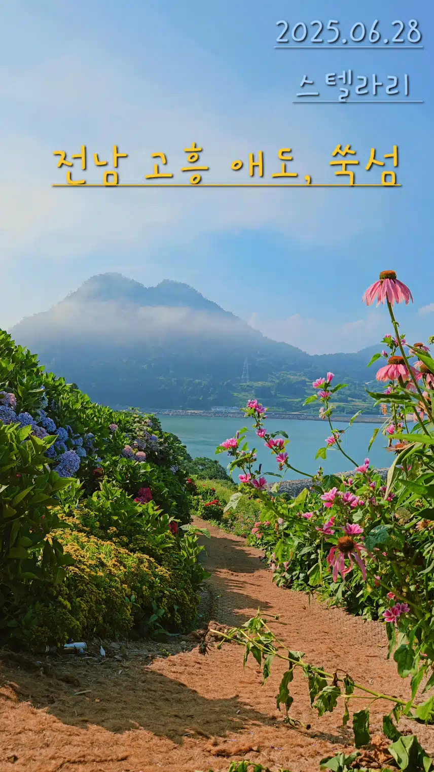 에키네시아 꽃과 수국꽃 (전남 고흥 쑥섬)