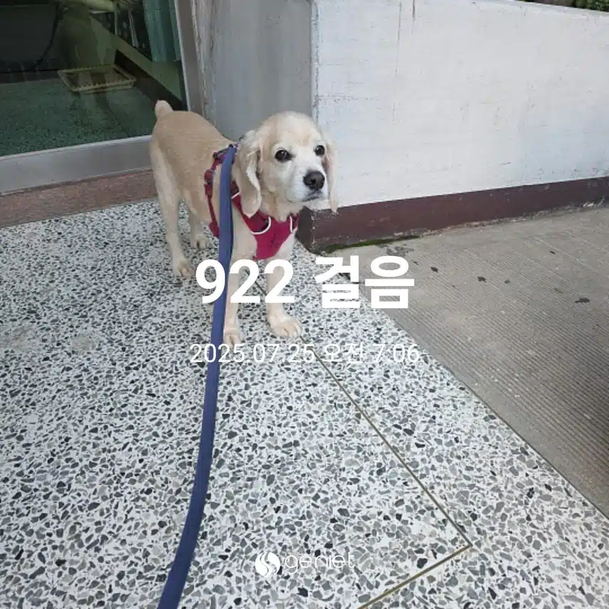 금요일 아침 