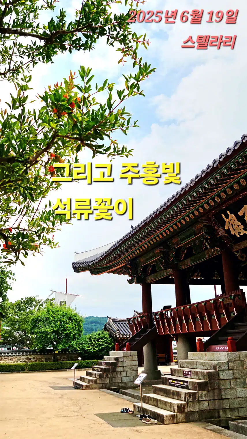 석류꽃 (진주 촉석루 앞 정원)