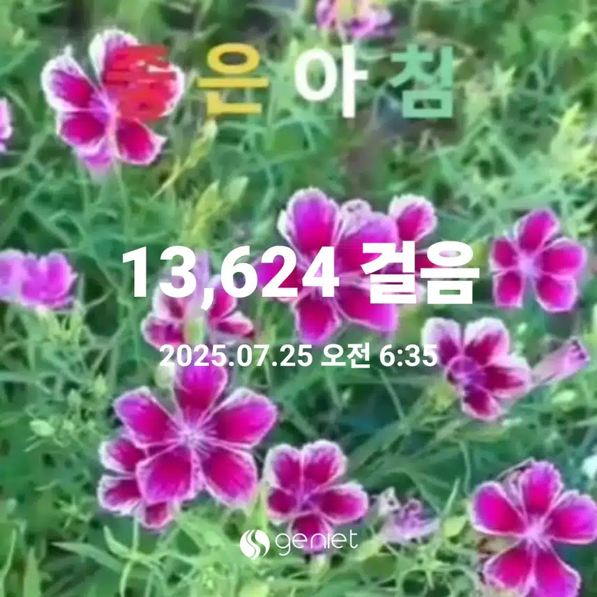   오늘 금요일도 새벽운동 만보걷기 