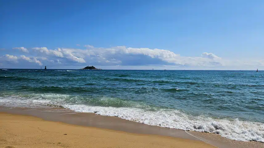 매일 만보이상걷는나