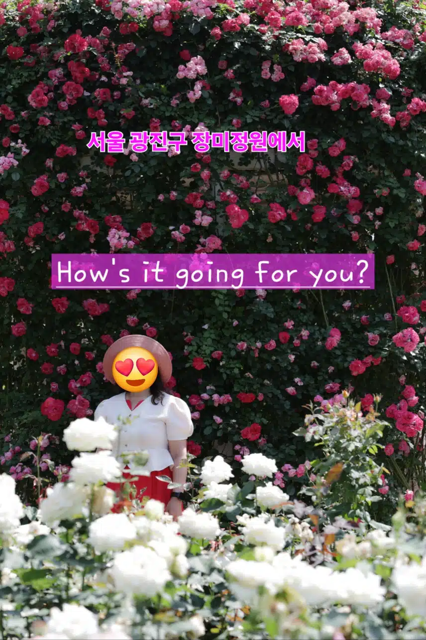 장미 터널 옆에서 