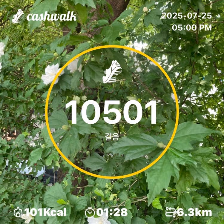 인증
