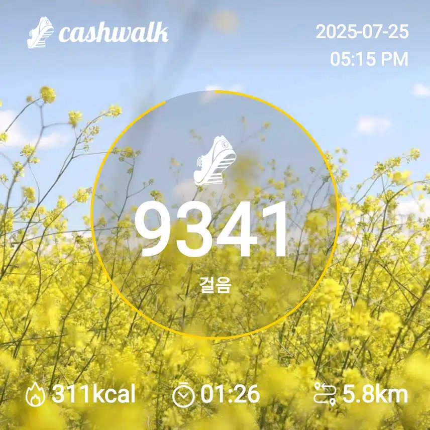 6천보걷기 