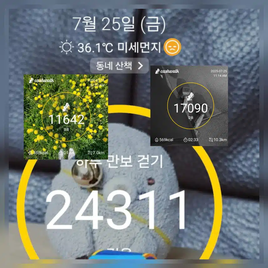 숨이 턱턱！Σ(×_×;)! 만보걷기 완료 ~(^_^)v