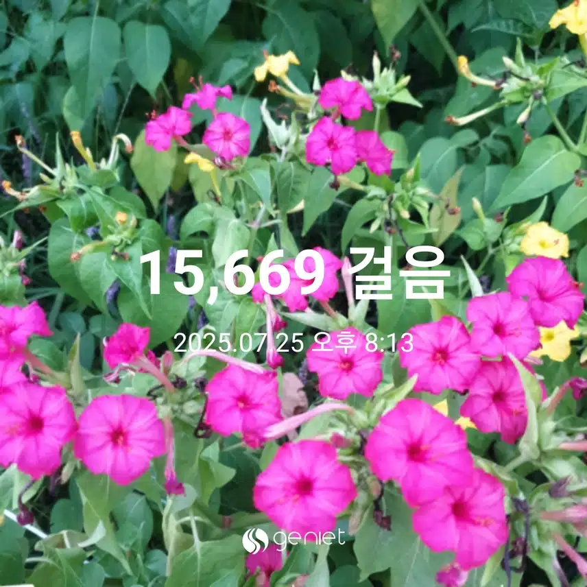 꽃향기 날리다