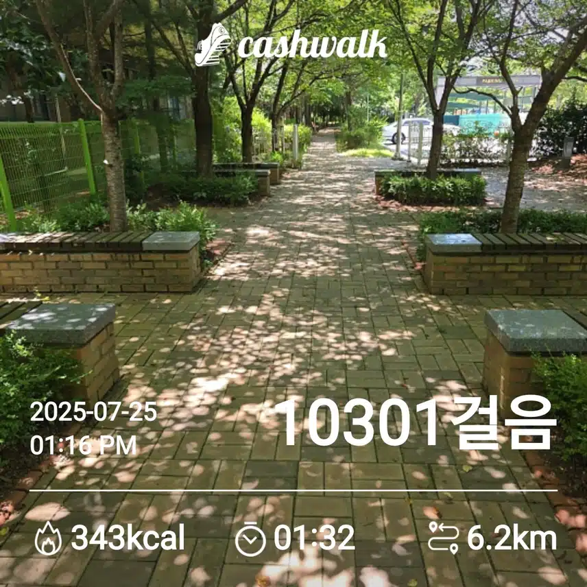 오늘도 만보걷기를....