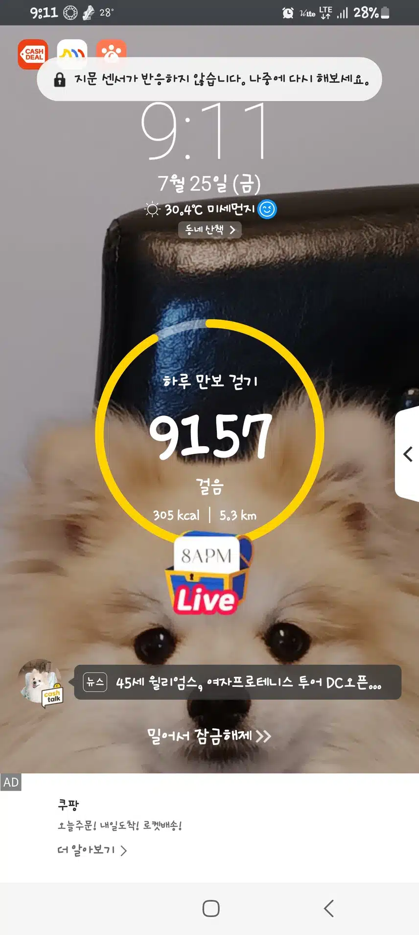 2일차
