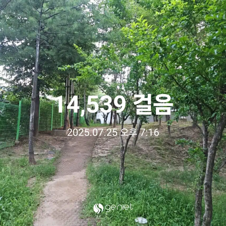 저녁 산책으로 🏃