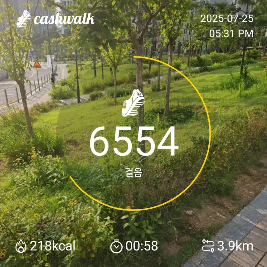 44기2일차