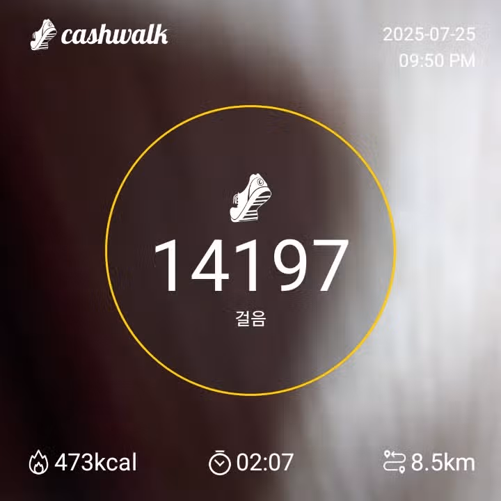 인증