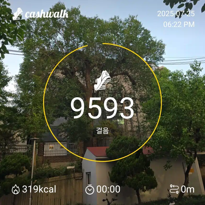 금요일 마무리 