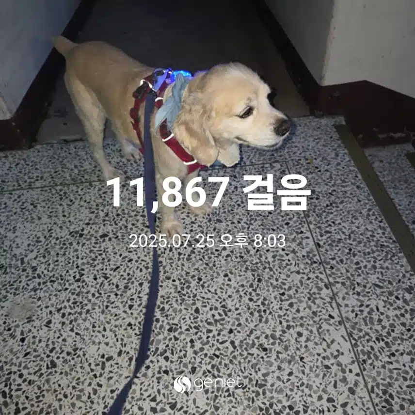 금요일 마무리 