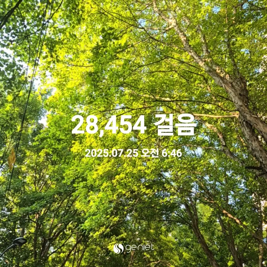 2025년 7월 25일 걷기 