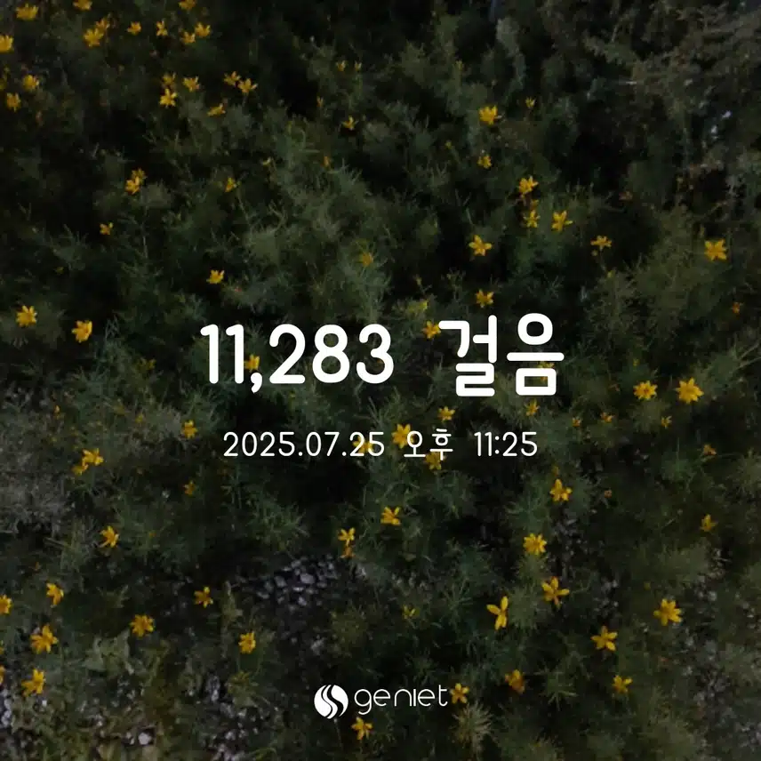 오늘 걷기
