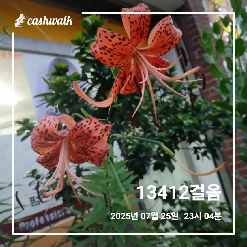 걷기  인증샷254일차