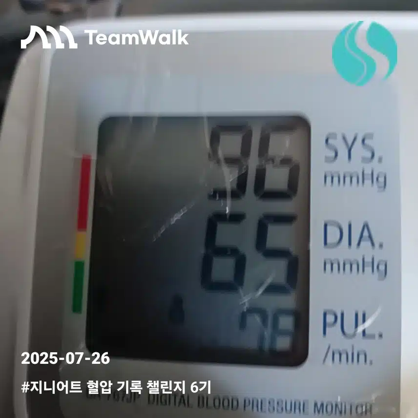 혈압6일차인증