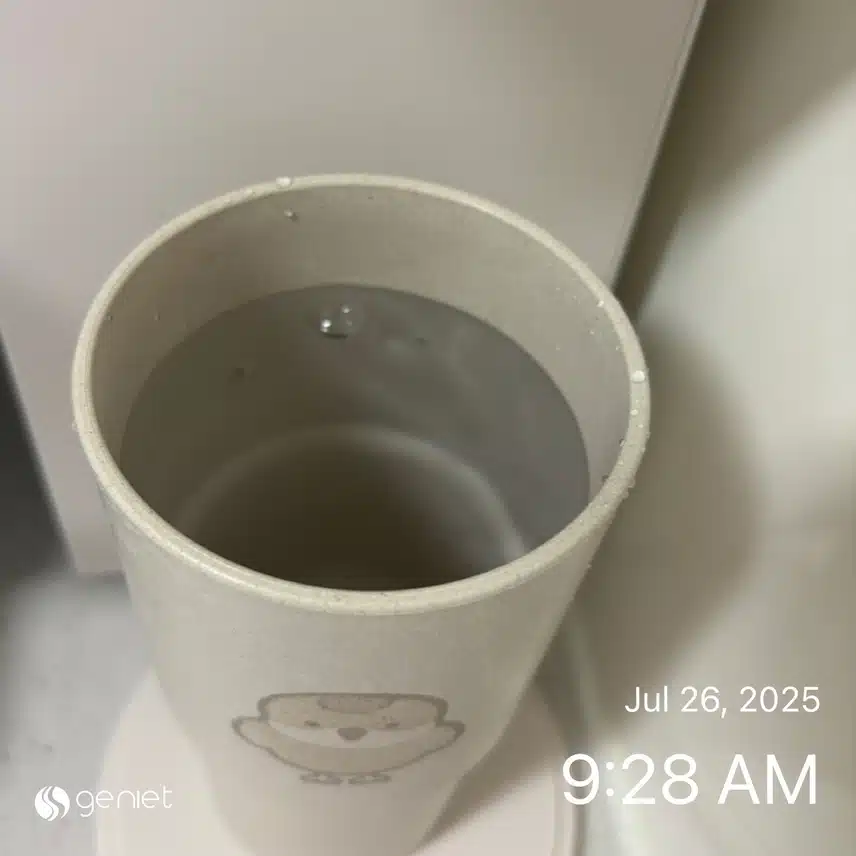 공복물💦