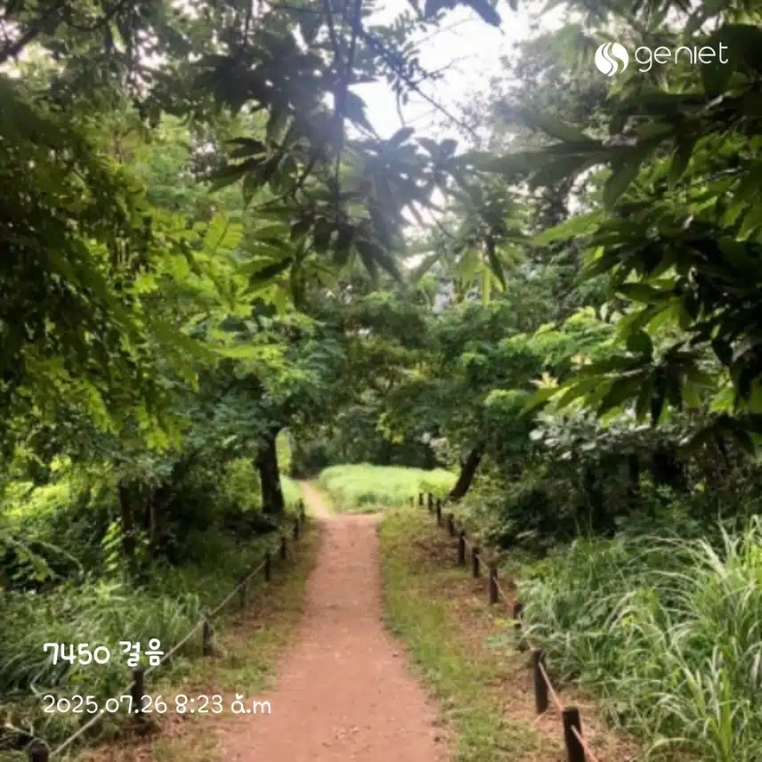 오전 산책으로 🏃‍♀️