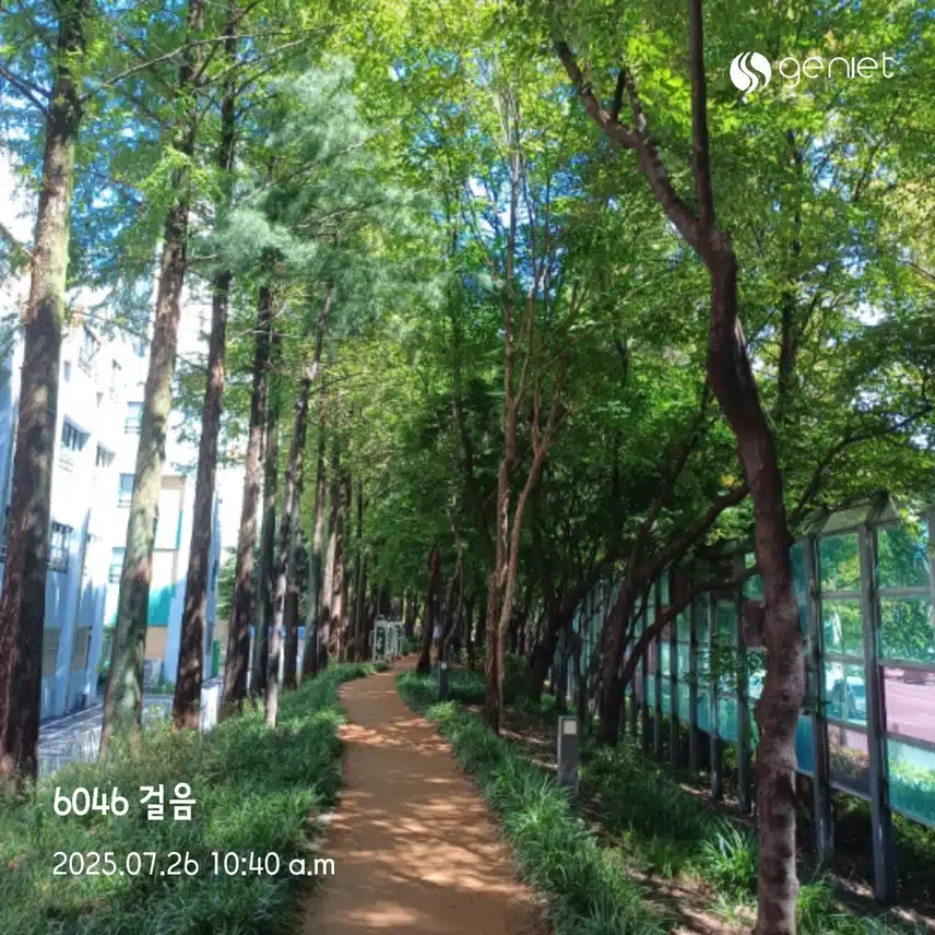 오전걷기 