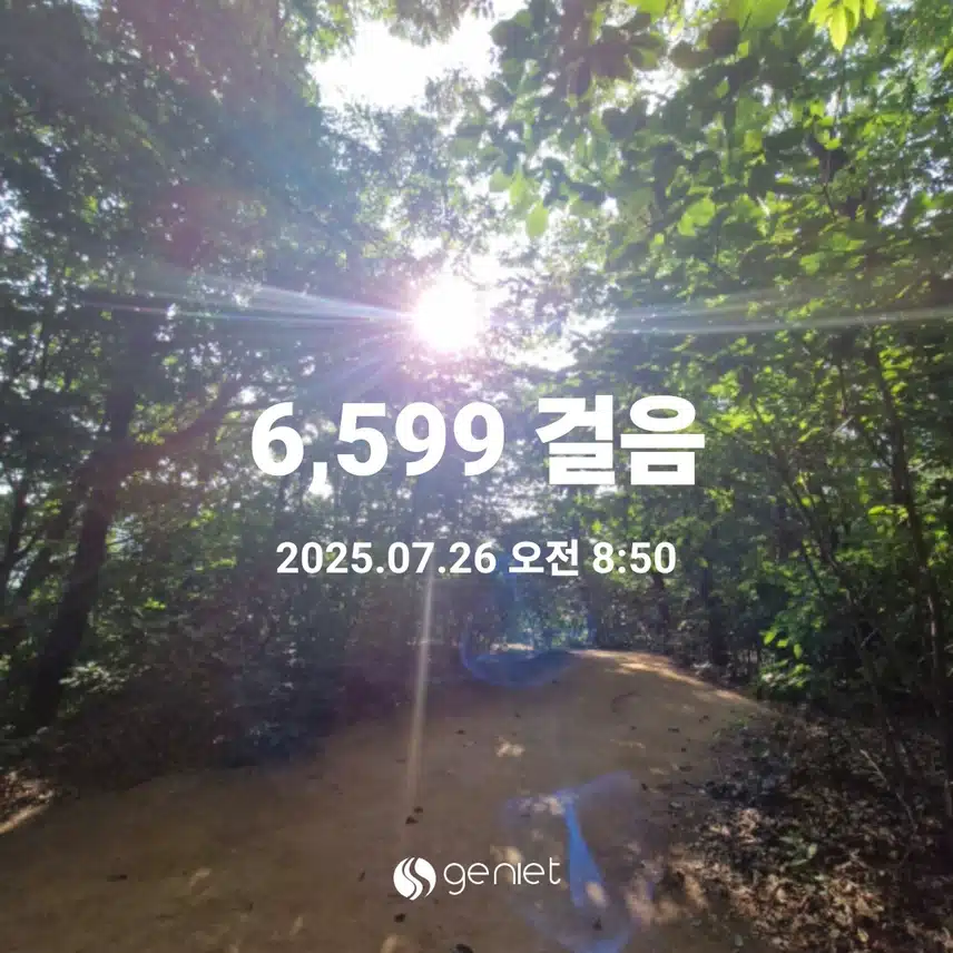 뜨거운 아침 숲
