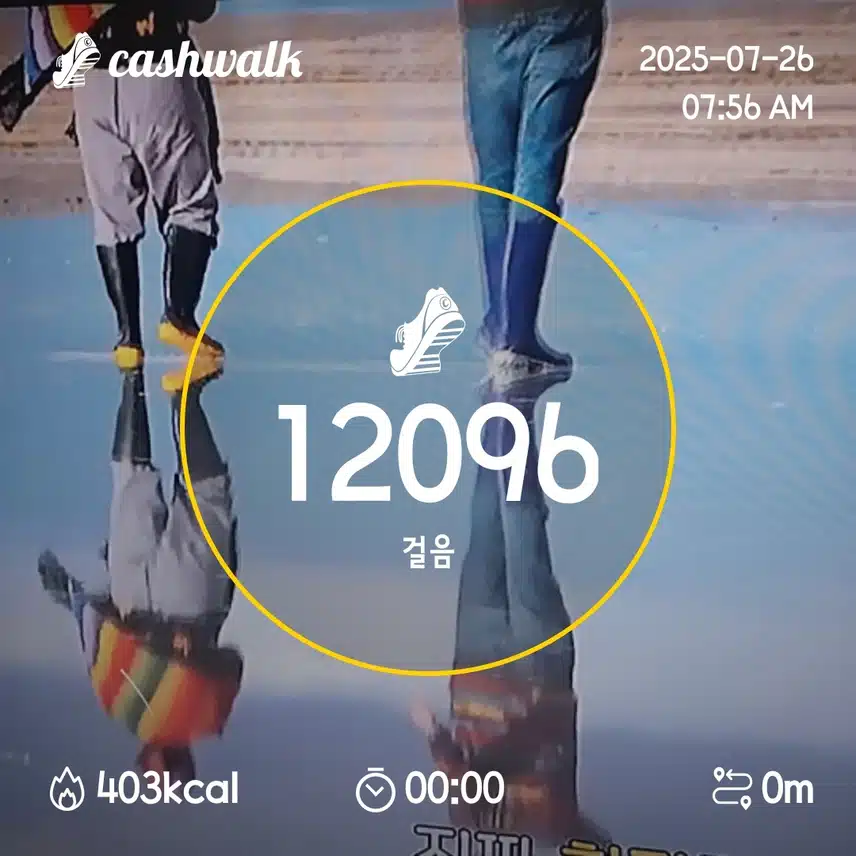 11일차