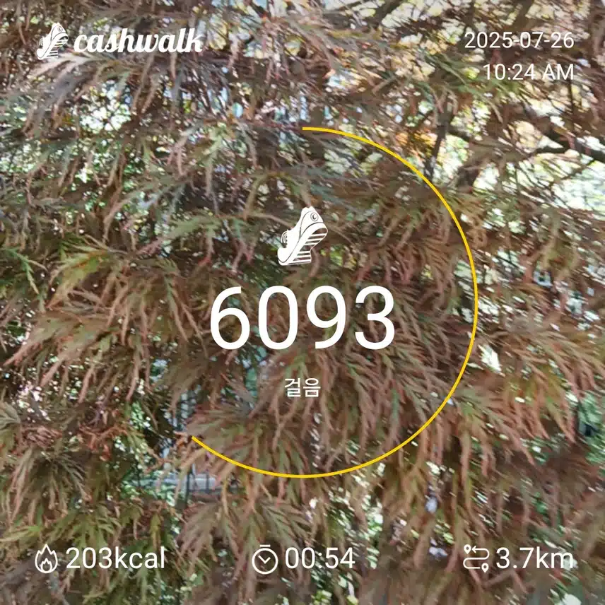 인증 