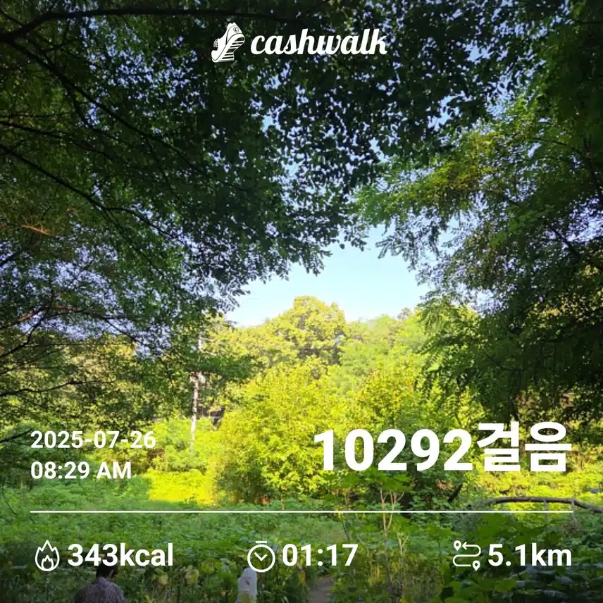 인증