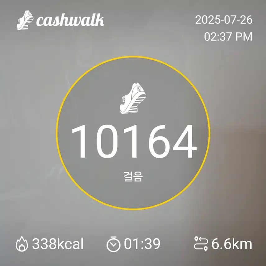 인증