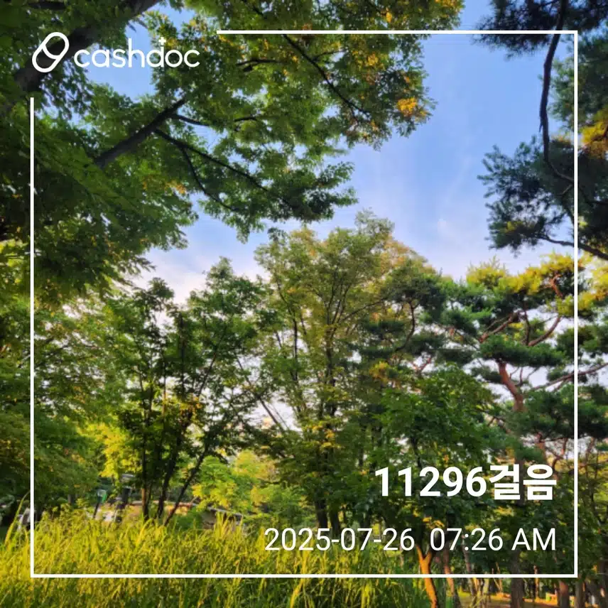 토요일 만보걷기 
