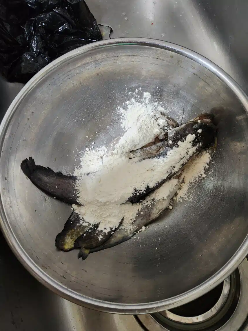 메기삼계탕 대령이요🤭🤭🤭