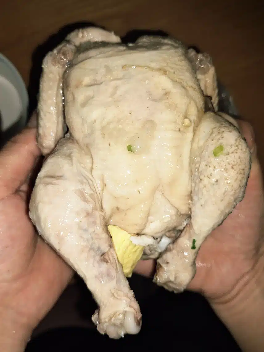 메기삼계탕 대령이요🤭🤭🤭