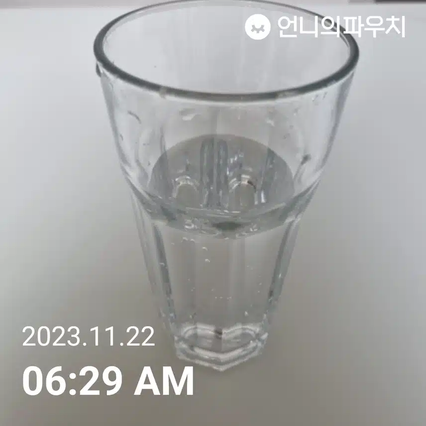 수 물모닝