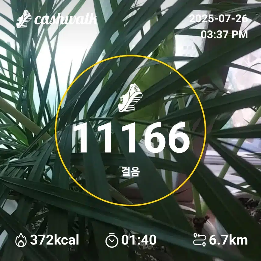 인증