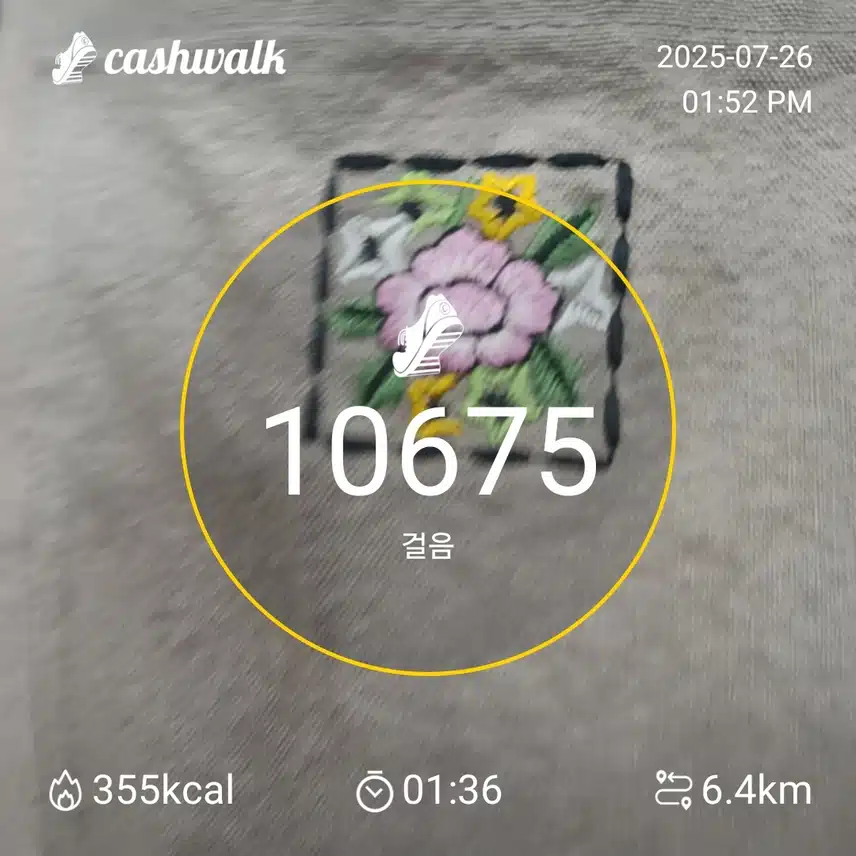 걸음수 