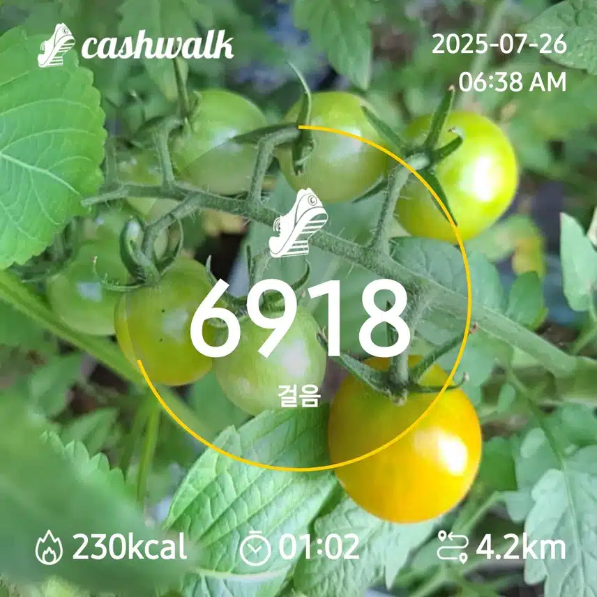 6000보 긛기