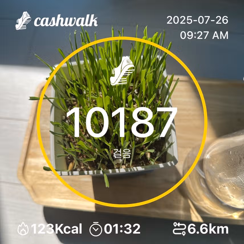 인증