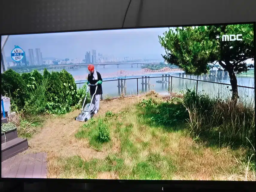 샤이니 키 이 더운날씨에 잡초뽑으랴 요리하랴 바쁘네요