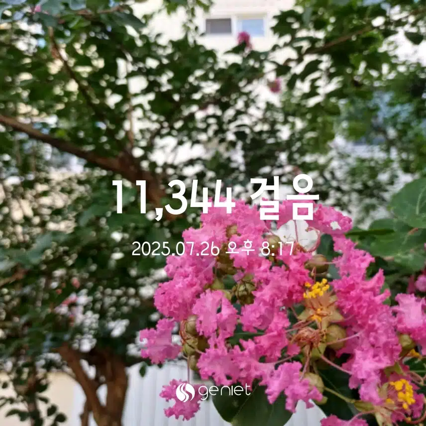 토욜 걸음 