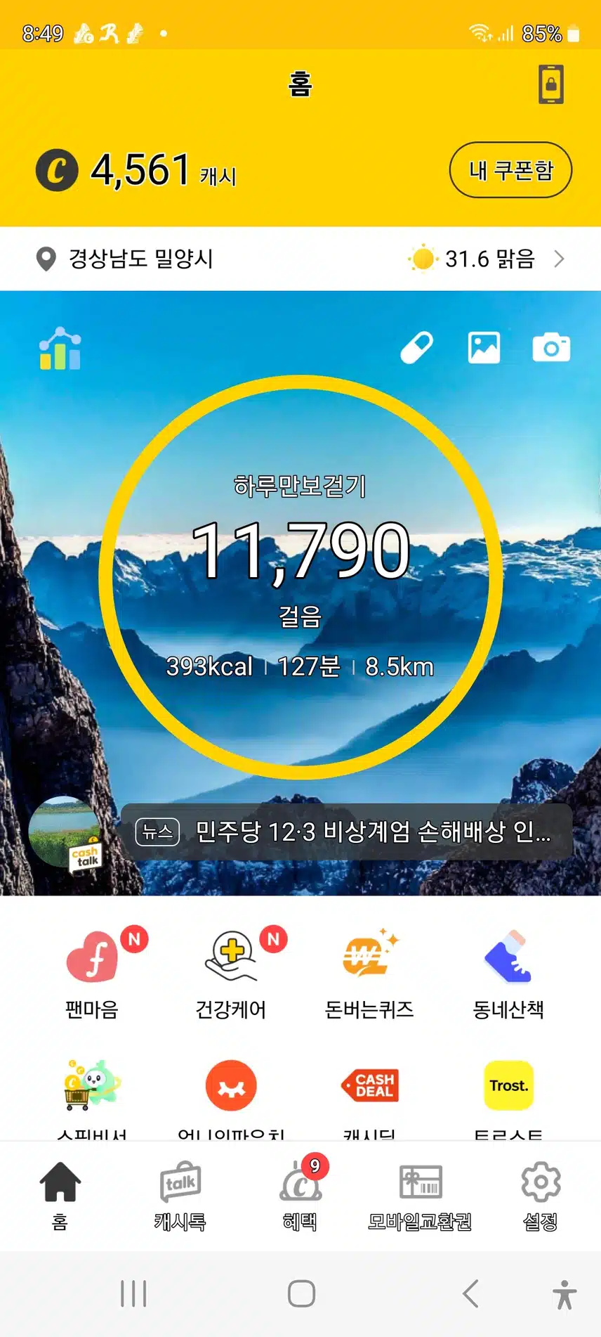 인증 
